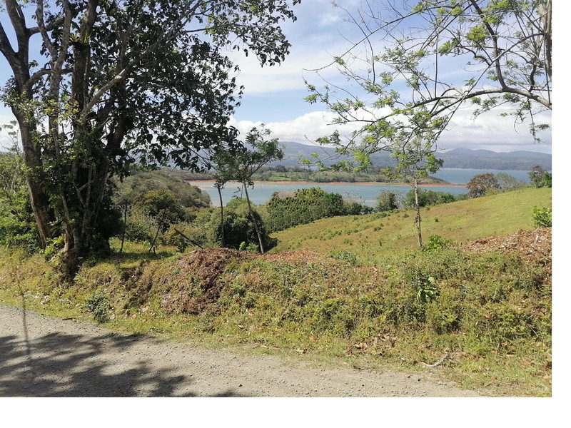 Land For Sale in Lake Arenal Costa Rica